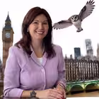 Sova_Vivid_Teacher Telegram Logo