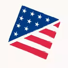 ACTashkent Telegram Logo