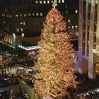 christmasm Telegram Logo