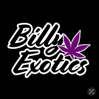 Telegram @billyexotics420Channel Image