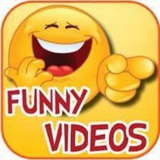 Telegram @funny_videos_10Channel Image