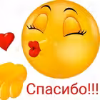 homevideov Telegram Logo