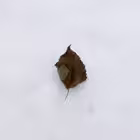 prostate_beauty Telegram Logo