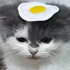 sillycock Telegram Logo