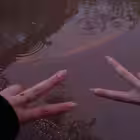 DD134679 Telegram Logo