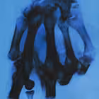 brazillianphonkk Telegram Logo