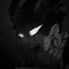 brazilfankkk Telegram Logo