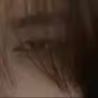 brazilfunkfonk Telegram Logo