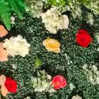 girlcall36 Telegram Logo