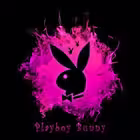 play_boy_job_call_boys Telegram Logo