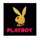 Telegram @realmeetplaycallboyjobbChannel Image