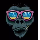 Telegram @angolaiGroup Image