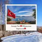 ankara8 Telegram Logo
