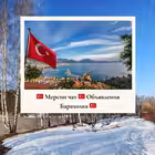 mersin5 Telegram Logo