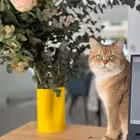 chatafisha1 Telegram Logo