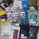 bingolick Telegram Logo