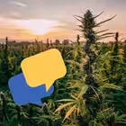 AustralianMedicalChat Telegram Logo