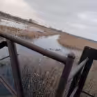 rizerwrp Telegram Logo