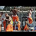 aCUniForM Telegram Logo