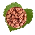 siirtfistigi_ureticisi Telegram Logo