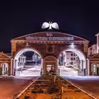 bitliserennn Telegram Logo