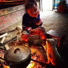 BINGOL12COLIG Telegram Logo