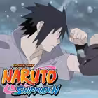 Telegram @narutoshippudenhindidubbedallsChannel Image