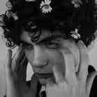 iphonesrufounder Telegram Logo