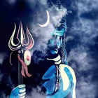 online_ludo100king_group_betting Telegram Logo