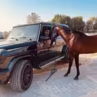 DS_BHAI_CRICKET Telegram Logo