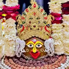 moviesseriescollection1008 Telegram Logo