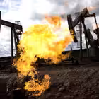 needleraw Telegram Logo