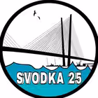 Telegram @svodka25Channel Image