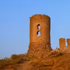 southtower Telegram Logo