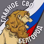 Telegram @svo_belgorod31Channel Image