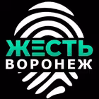 zhest_voronezh_136 Telegram Logo
