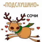 sochi_podslushano Telegram Logo