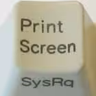 ScreenShotTrue Telegram Logo