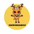 Nizhnekamsk_podslushal Telegram Logo