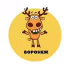 Telegram @Voronej_podslushalChannel Image