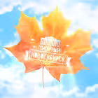 tipanovosib Telegram Logo