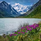 Rubtsovsk_Novoaltaisk Telegram Logo