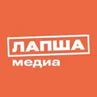 Telegram @lapshamediaChannel Image