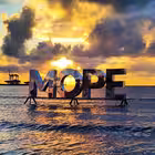 MoreOz Telegram Logo