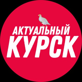 Telegram @kursk_ak46Channel Image