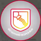 Voronej_evening Telegram Logo