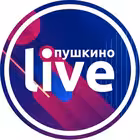 pushkino9 Telegram Logo