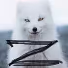 pozivnoy_kazman Telegram Logo