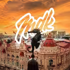 MDK_RnD Telegram Logo