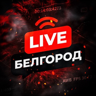 Telegram @belgorod_live1Channel Image